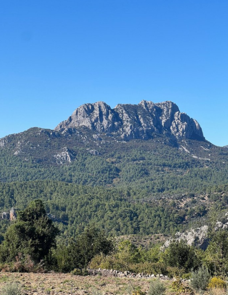 Antalya Full-Day Jeep Safari Tour with Lunch and Transfer | ®ExcursionMania
