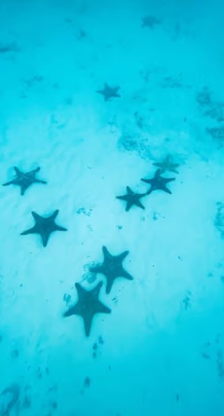 Zanzibar: Jozani Forest, Kuza Cave & Blue Lagoon | ®ExcursionMania