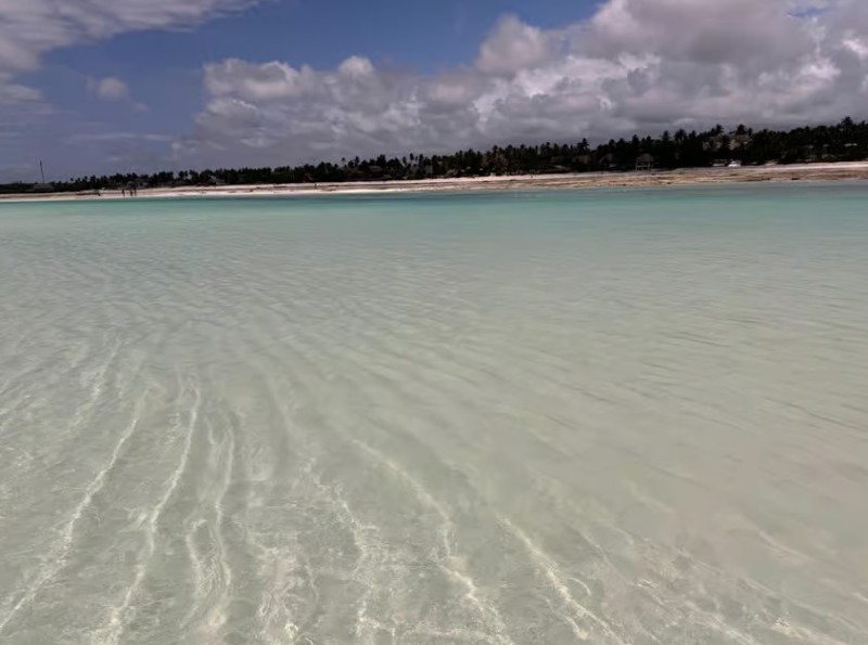 Zanzibar: Jozani Forest, Kuza Cave & Blue Lagoon | ®ExcursionMania