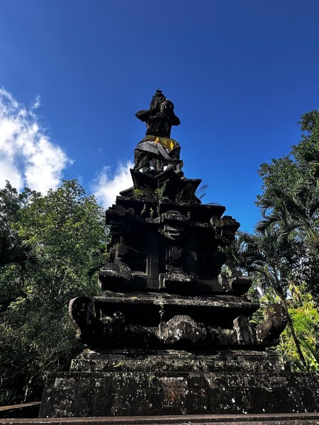 Best of Ubud Full-Day Tour with Jungle Swing | ®ExcursionMania