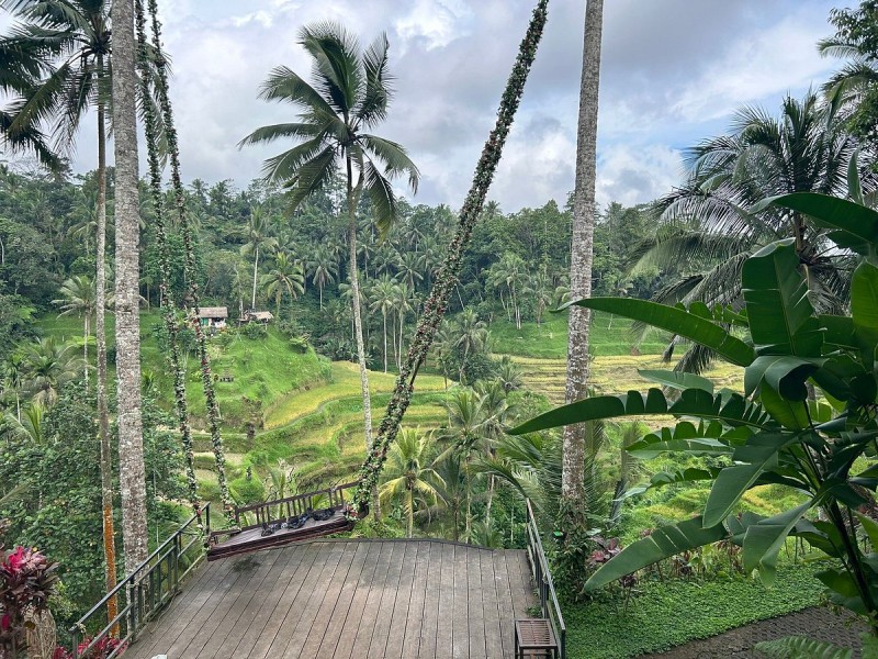 Best of Ubud Full-Day Tour with Jungle Swing | ®ExcursionMania