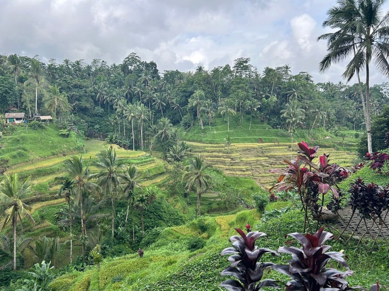 Best of Ubud Full-Day Tour with Jungle Swing | ®ExcursionMania