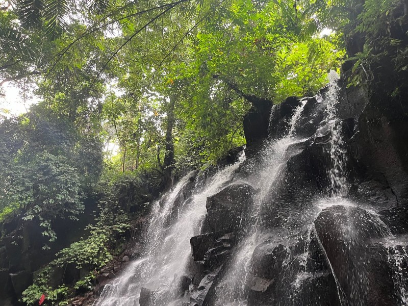 Best of Ubud Full-Day Tour with Jungle Swing | ®ExcursionMania