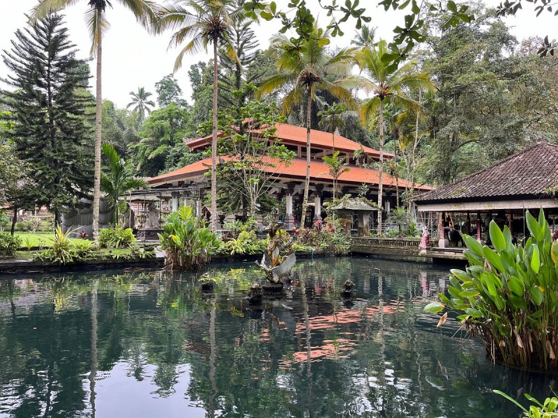 Best of Ubud Full-Day Tour with Jungle Swing | ®ExcursionMania