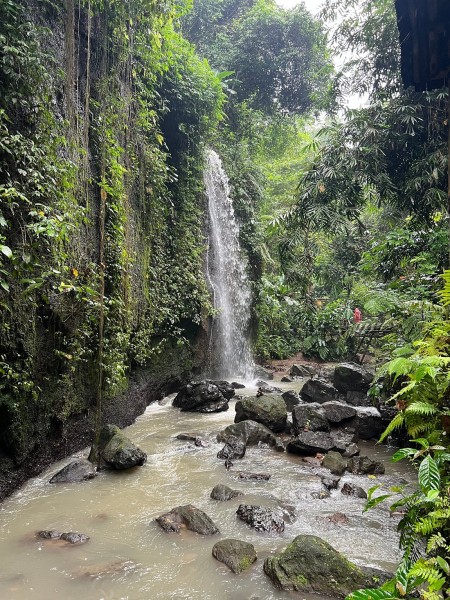 Best of Ubud Full-Day Tour with Jungle Swing | ®ExcursionMania