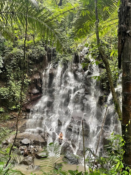 Best of Ubud Full-Day Tour with Jungle Swing | ®ExcursionMania