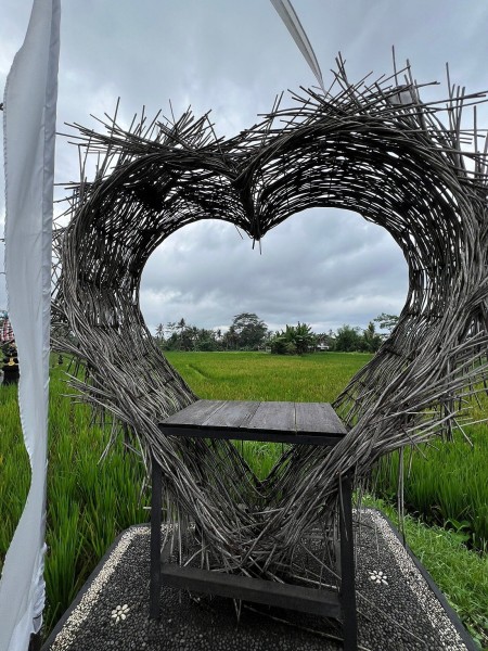 Best of Ubud Full-Day Tour with Jungle Swing | ®ExcursionMania