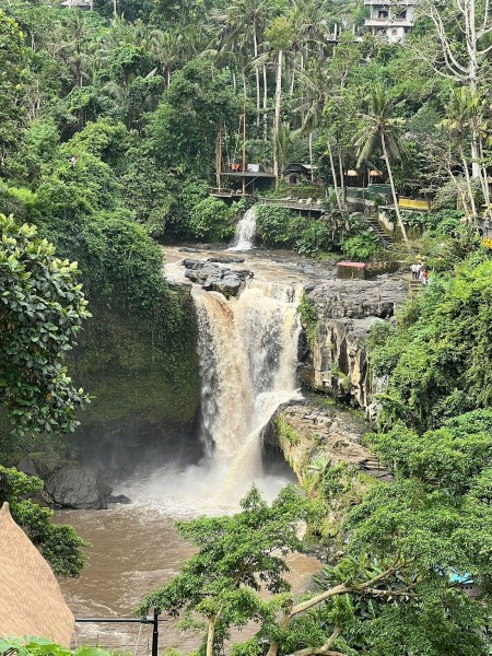 Best of Ubud Full-Day Tour with Jungle Swing | ®ExcursionMania