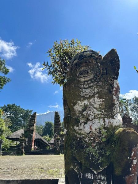Full-Day Tour to Water Temples and UNESCO Rice Terraces in Bali | ®ExcursionMania