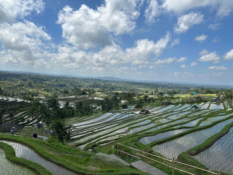 Full-Day Tour to Water Temples and UNESCO Rice Terraces in Bali | ®ExcursionMania
