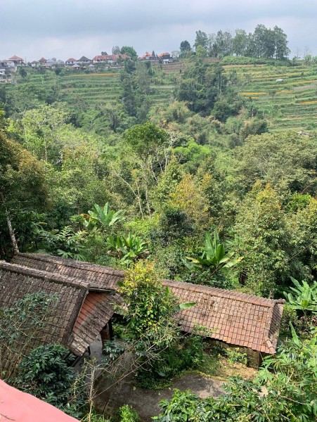 Private Full-Day West Bali Tour with Waterfall Visit | ®ExcursionMania