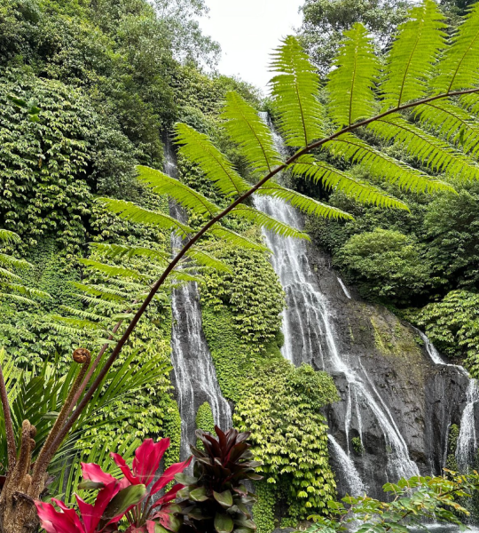 Instagram Tour in Bali: The Most Beautiful Spots | ®ExcursionMania