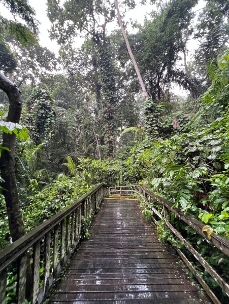 Highlights of Ubud & Mount Batur Volcano - Private Day Trip | ®ExcursionMania