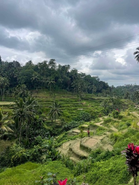 Half-Day Ubud Rice Field and Village Cycling Tour | ®ExcursionMania