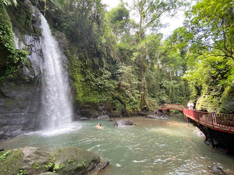 Ubud: Waterfall, Rice Terraces, and Monkey Forest Private Tour | ®ExcursionMania