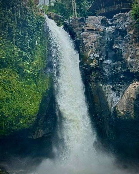 Best of Ubud Attractions: Private All-Inclusive Tour | ®ExcursionMania