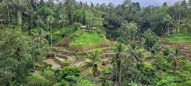 Best of Ubud Attractions: Private All-Inclusive Tour | ®ExcursionMania