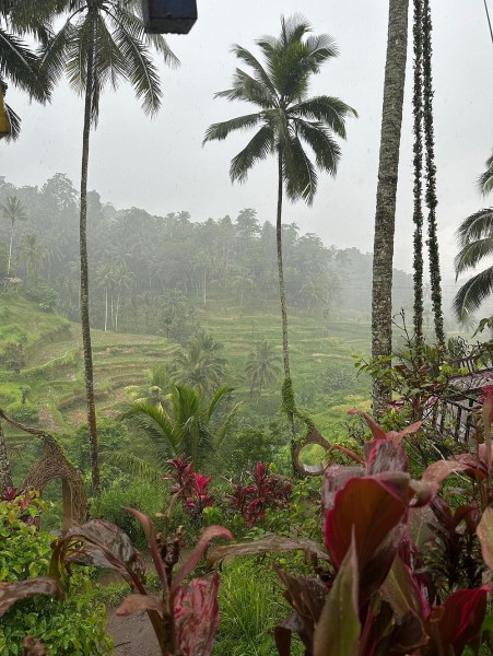 Best of Ubud Attractions: Private All-Inclusive Tour | ®ExcursionMania