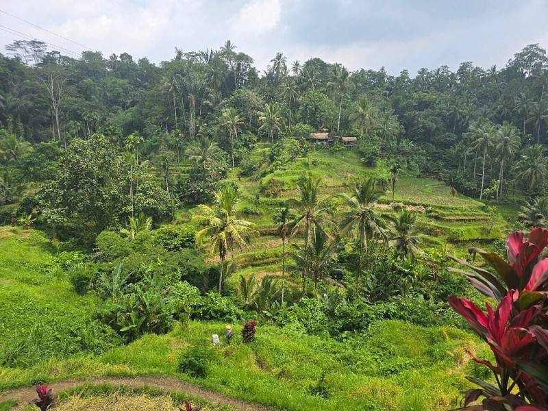 Best of Ubud Attractions: Private All-Inclusive Tour | ®ExcursionMania