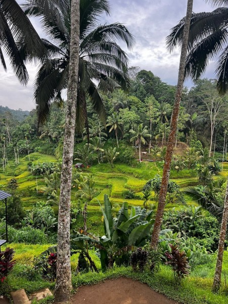 Best of Ubud Attractions: Private All-Inclusive Tour | ®ExcursionMania