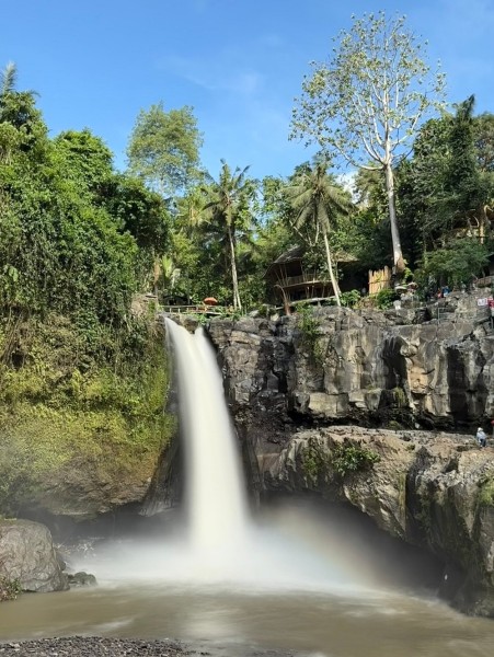 Best of Ubud Attractions: Private All-Inclusive Tour | ®ExcursionMania