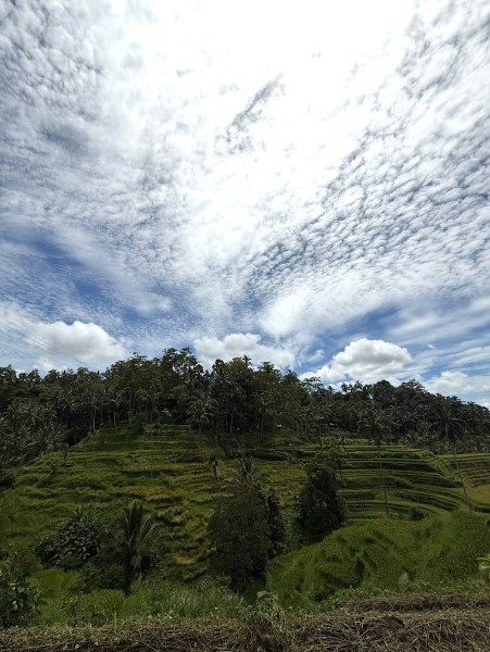 Best of Ubud Attractions: Private All-Inclusive Tour | ®ExcursionMania