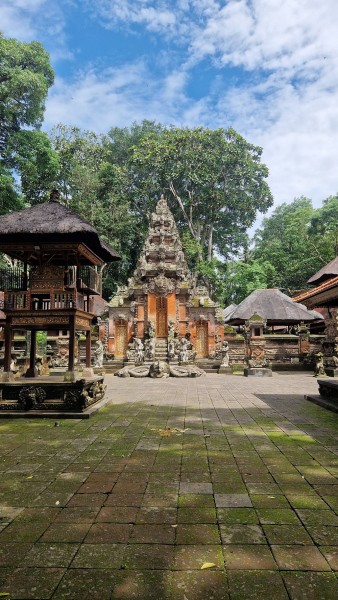 Best of Ubud Attractions: Private All-Inclusive Tour | ®ExcursionMania