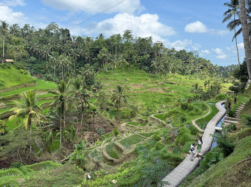 Full-Day Mount Batur Volcano Sunrise Trek with Natural Hot Springs | ®ExcursionMania