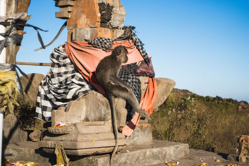 Full-Day Mount Batur Volcano Sunrise Trek with Natural Hot Springs | ®ExcursionMania