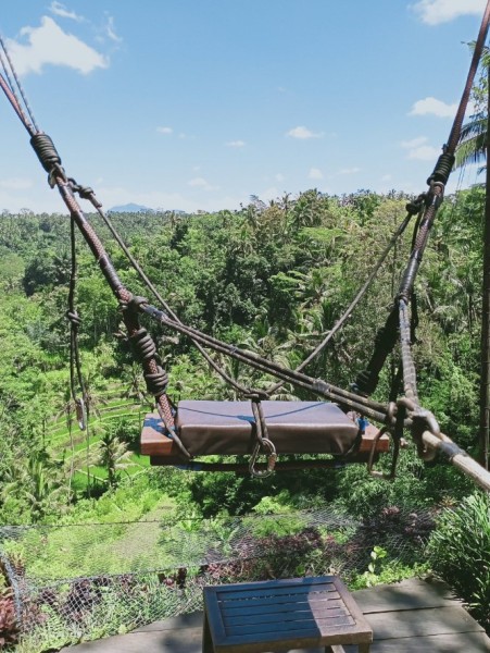 Bali Full Day Tour: Highlights of Ubud and Hidden Waterfall | ®ExcursionMania