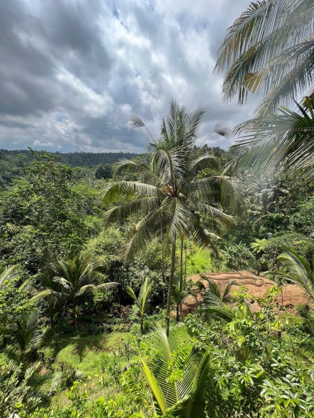 Private Tour: Ubud Highlights | ®ExcursionMania