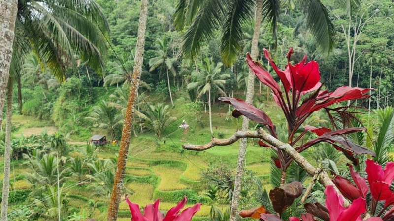 Private Shore Excursion: Customized Best of Bali Tour | ®ExcursionMania