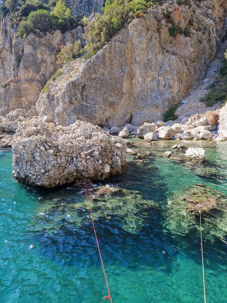 Marmaris Full Day Scuba Diving Two Dives With Lunch  Hotel Pickup | ®ExcursionMania