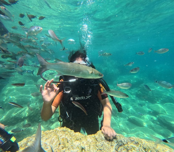 Marmaris Full Day Scuba Diving Two Dives With Lunch  Hotel Pickup | ®ExcursionMania