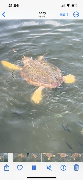Turunc Dalyan Tour With Turte Beach & Mud Baths | ®ExcursionMania