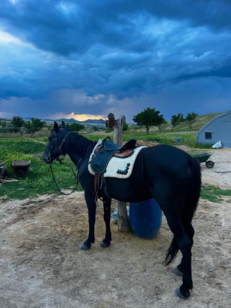 Cappadocia: Horseback Riding Adventure Tour | ®ExcursionMania