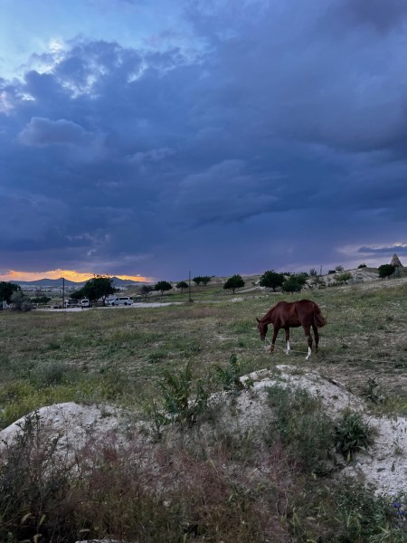 Cappadocia: Horseback Riding Adventure Tour | ®ExcursionMania