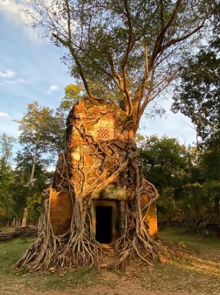 Full-Day Preah Vihear & Koh Ker Temple Small Group Shared Tour | ®ExcursionMania