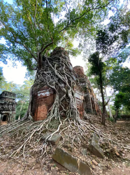 Full-Day Preah Vihear & Koh Ker Temple Small Group Shared Tour | ®ExcursionMania