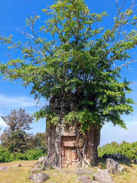 Full-Day Preah Vihear & Koh Ker Temple Small Group Shared Tour | ®ExcursionMania