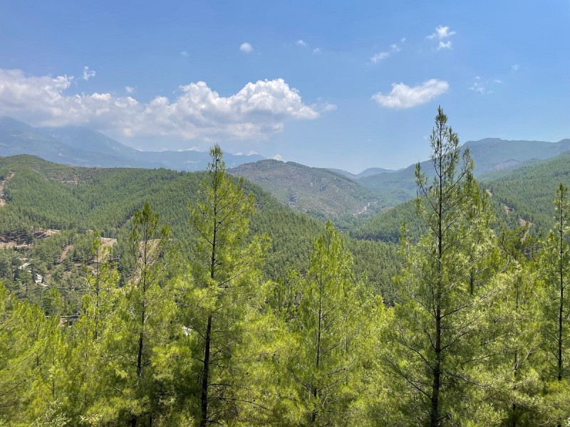 Sapadere Canyon Tour: Scenic Journey, Stunning Views, and Nature Walk | ®ExcursionMania