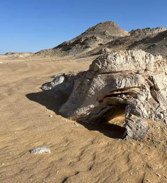 Cairo: 2-Day Bahariya & White Desert Private Camp Adventure | ®ExcursionMania
