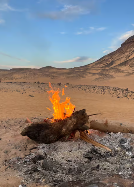 Cairo: Cairo: 2-Day Bahariya & White Desert Private Camp Adventure | ®ExcursionMania