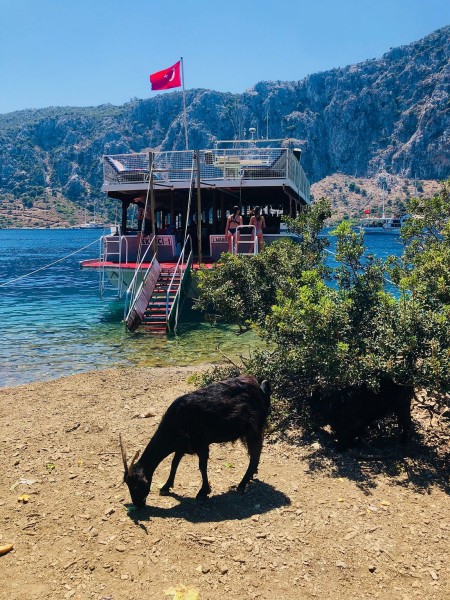 Marmaris Aegean Island Boat Tour / A Relaxing VIP Escape on the Sea | ®ExcursionMania