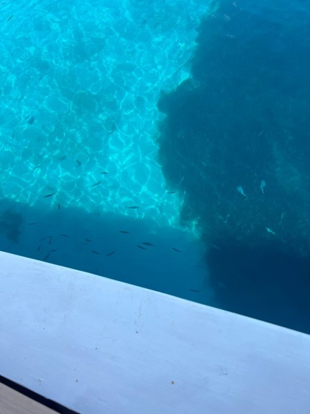 Captain Bullshit Boat Trip from Icmeler / A Fun Day on the Water | ®ExcursionMania
