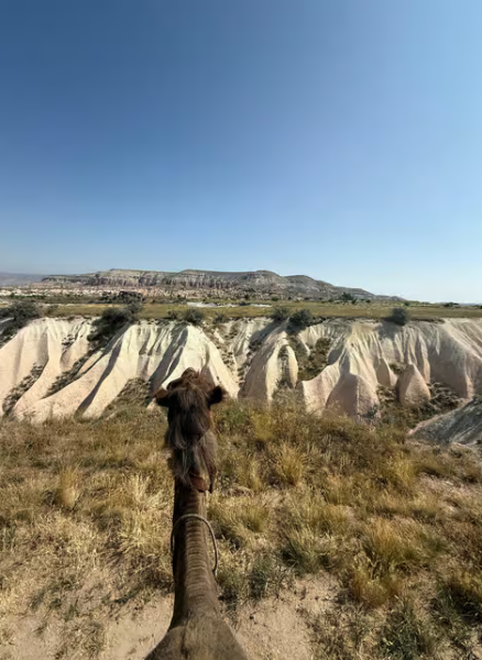 Cappadocia Camel Safari Tour | ®ExcursionMania
