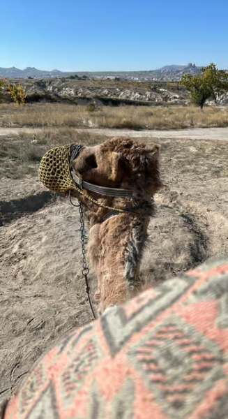 Cappadocia Camel Safari Tour | ®ExcursionMania