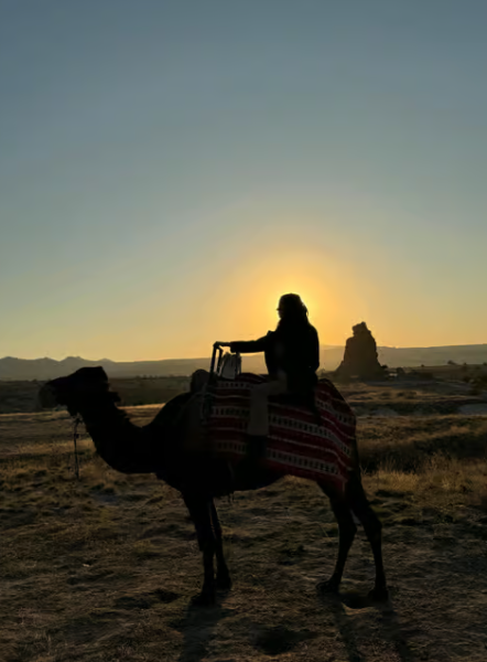 Cappadocia Camel Safari Tour | ®ExcursionMania