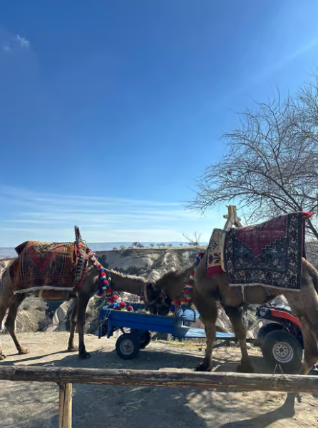 Cappadocia: Green Tour with Underground City & Lunch | ®ExcursionMania
