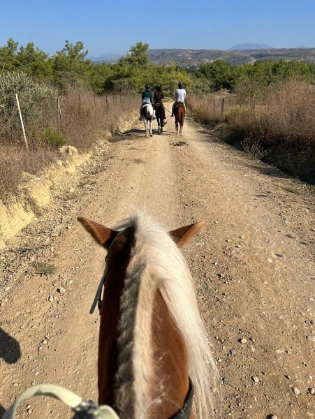 Antalya: Lara Beach & Forrest Horse Riding Safari | ®ExcursionMania
